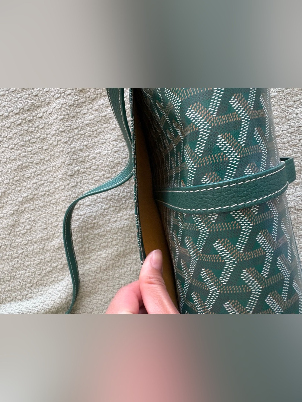 EUC/Like New - Goyard Belvedere PM, Vert - Picture 8 of 8